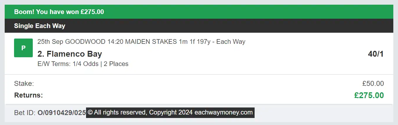 Each Way Money - Winner - 2024-09-25